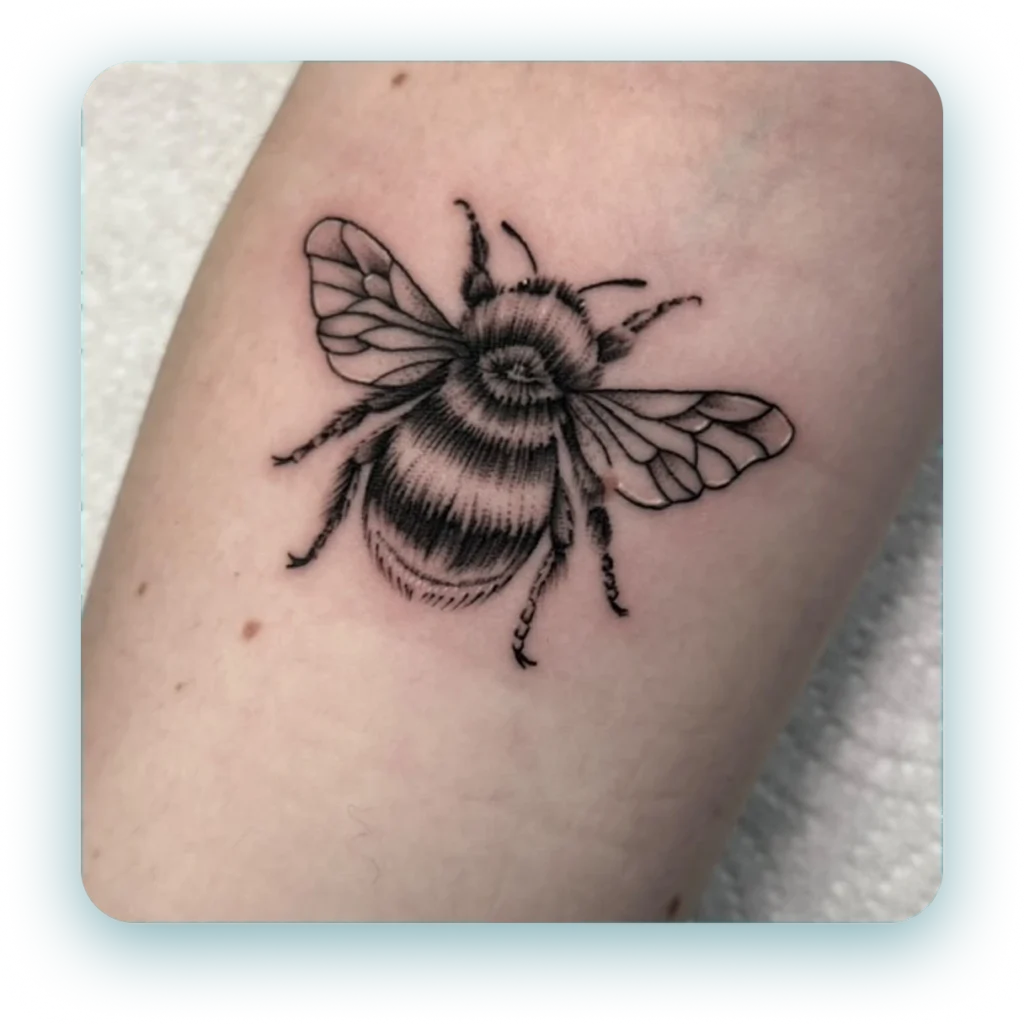 482116182_617857901010182_7803774764738782241_n 1