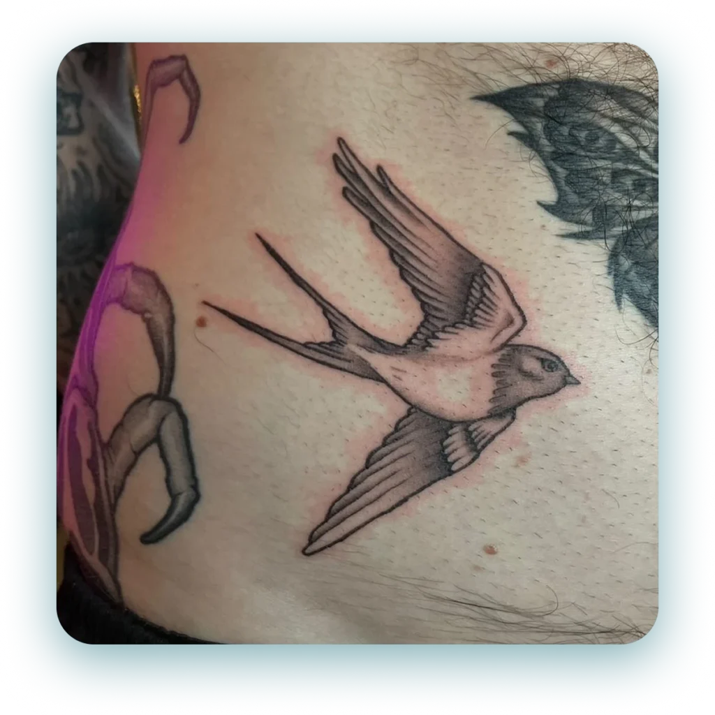 494823704_1036898928066338_5350944686042828605_n 2