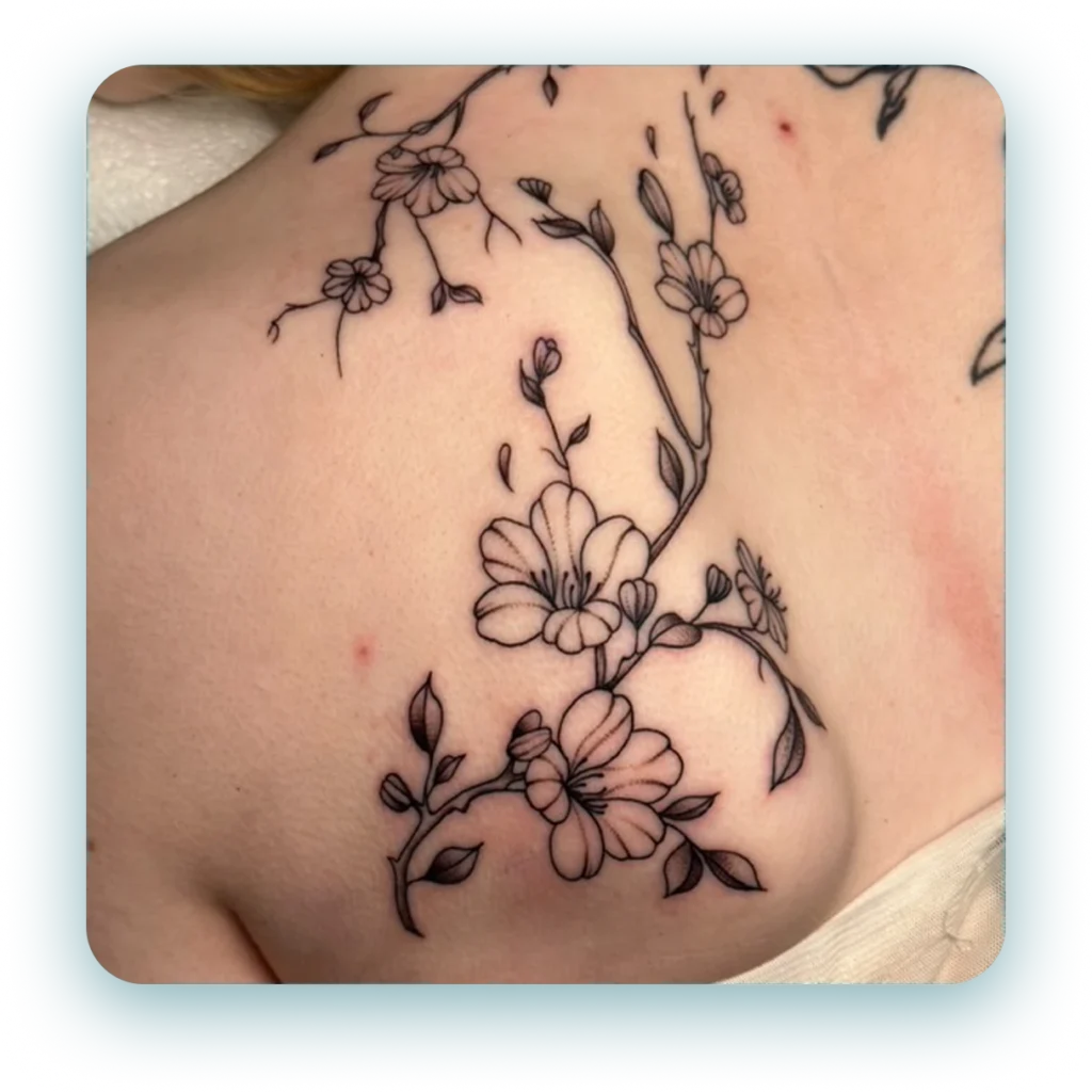 494830075_1769142267349298_4053192601810160349_n 1