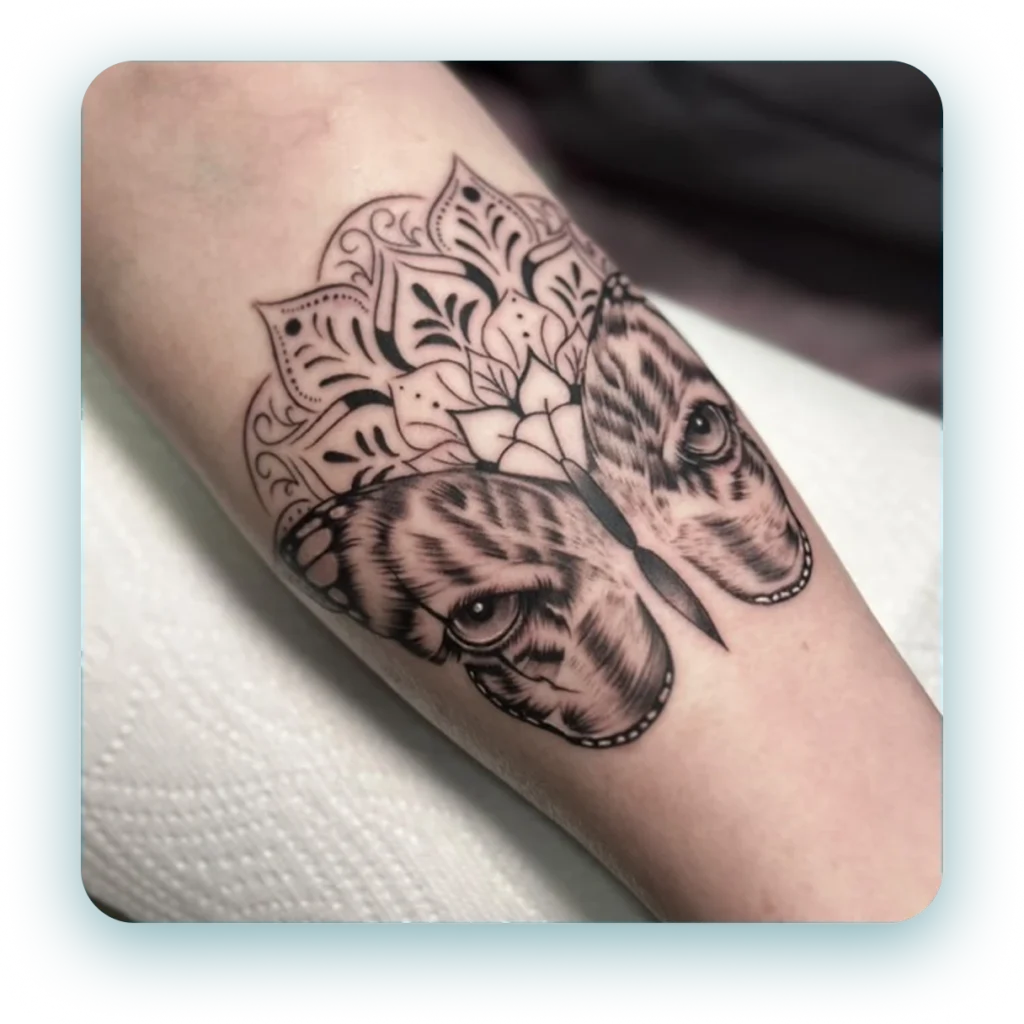 494831002_2061291301022001_7599027882482974792_n 1