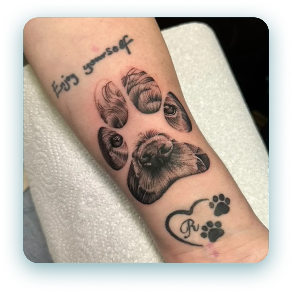 494831931_1381545763116661_8129992217939607026_n 1